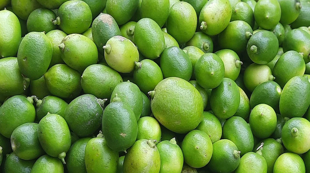 লেবুর দাম কমছেই না লেবুর দাম কমছেই না