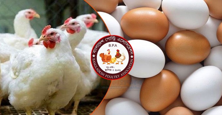 পহেলা মে থেকে সারাদেশে ডিম ও মুরগি উৎপাদন বন্ধের ঘোষণা প্রত্যাহার পহেলা মে থেকে সারাদেশে ডিম ও মুরগি উৎপাদন বন্ধের ঘোষণা প্রত্যাহার